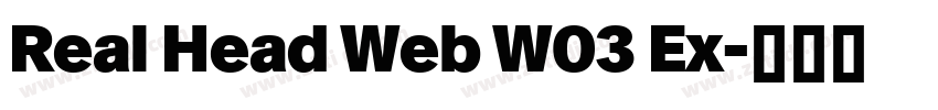 Real Head Web W03 Ex字体转换